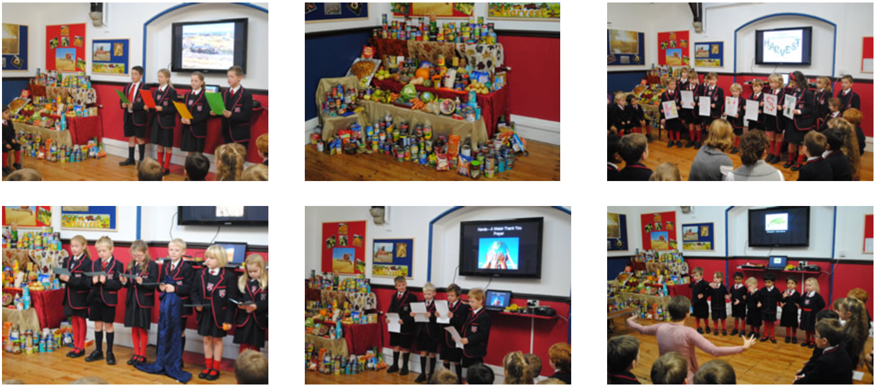Fairholme Preparatory School: Bumper Harvest Fairholme Preparatory School: Bumper Harvest