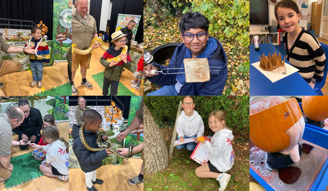 Autumn Secrets: A Science Discovery Day