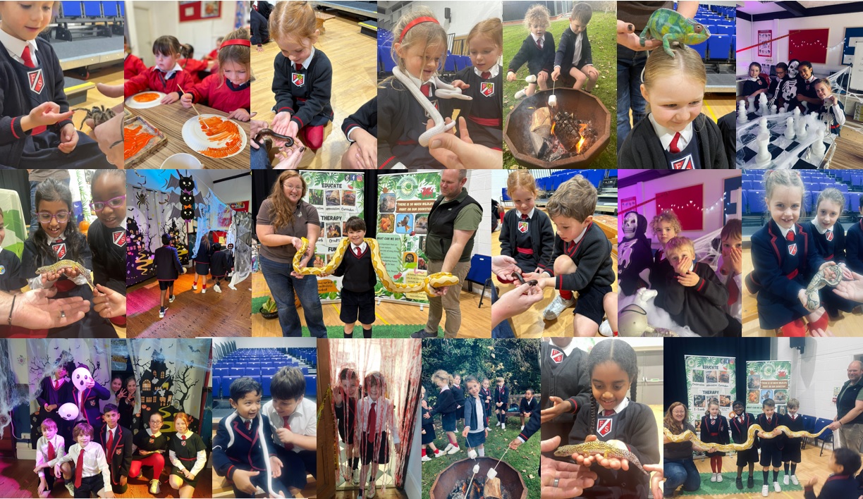 Halloween Open Days Halloween Open Days