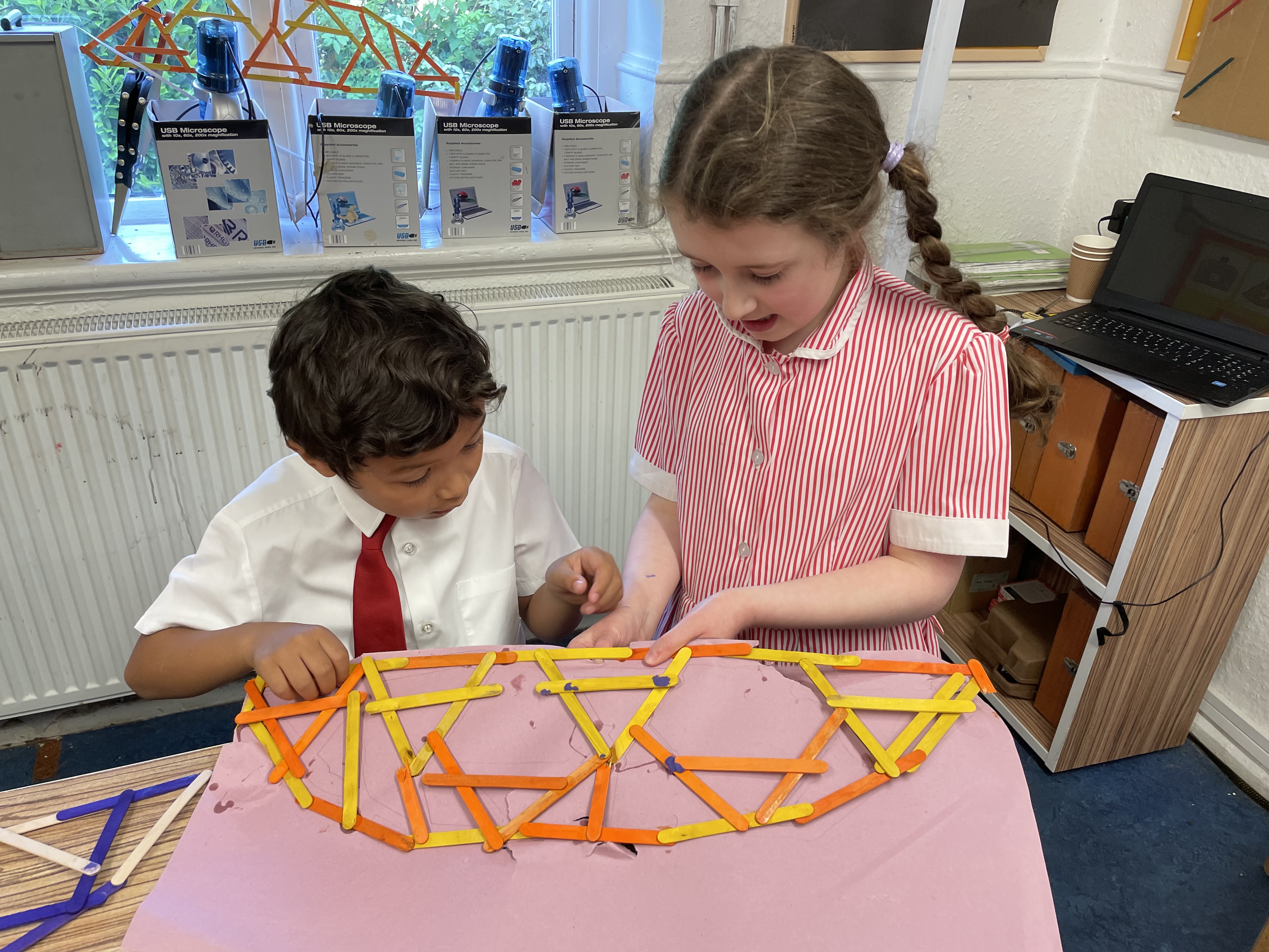 Lollipop Stick Bridges