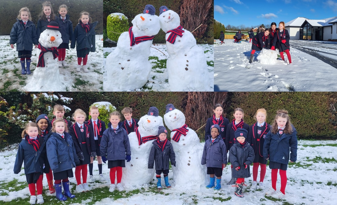 A Snowy Assembly