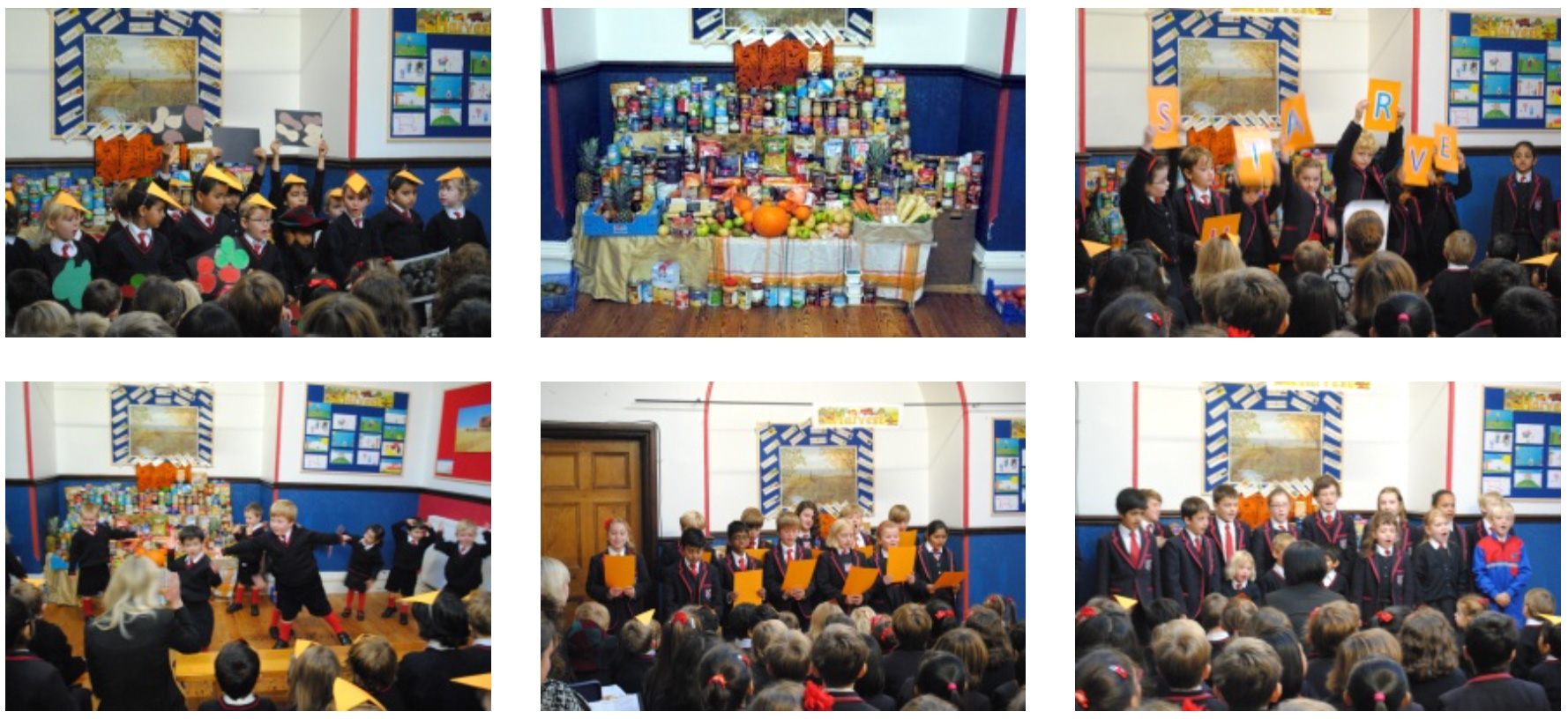 Fairholme Preparatory School: Bumper Harvest Fairholme Preparatory School: Bumper Harvest