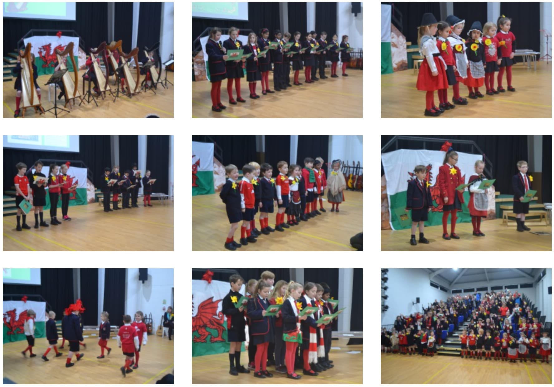 Fairholme Preparatory School: Celebrating St. David Fairholme Preparatory School: Celebrating St. David