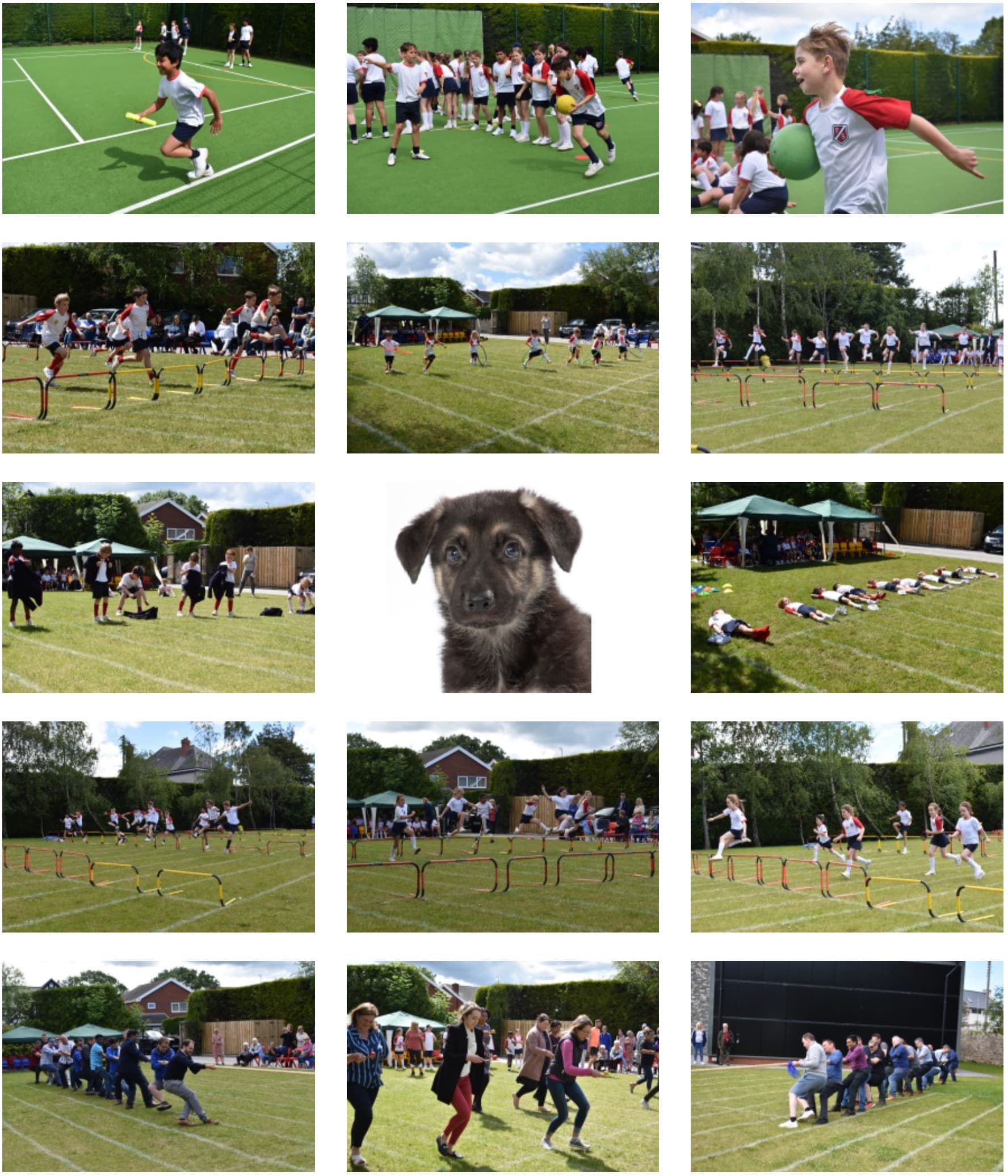Fairholme Preparatory School: Charity Sports' Day Fairholme Preparatory School: Charity Sports' Day