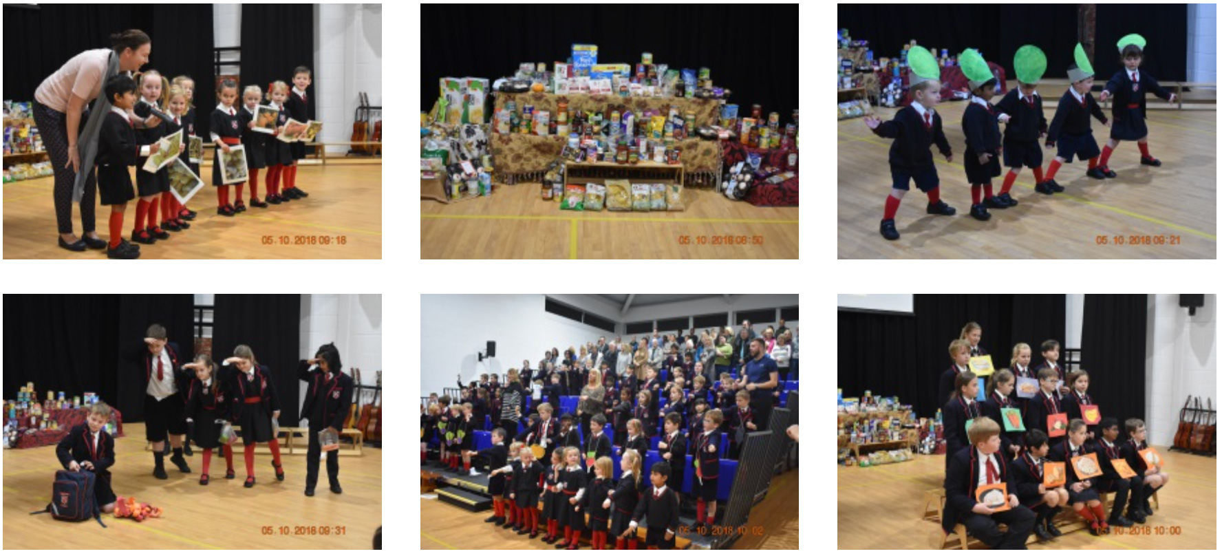 Fairholme Preparatory School: Harvest Time Fairholme Preparatory School: Harvest Time