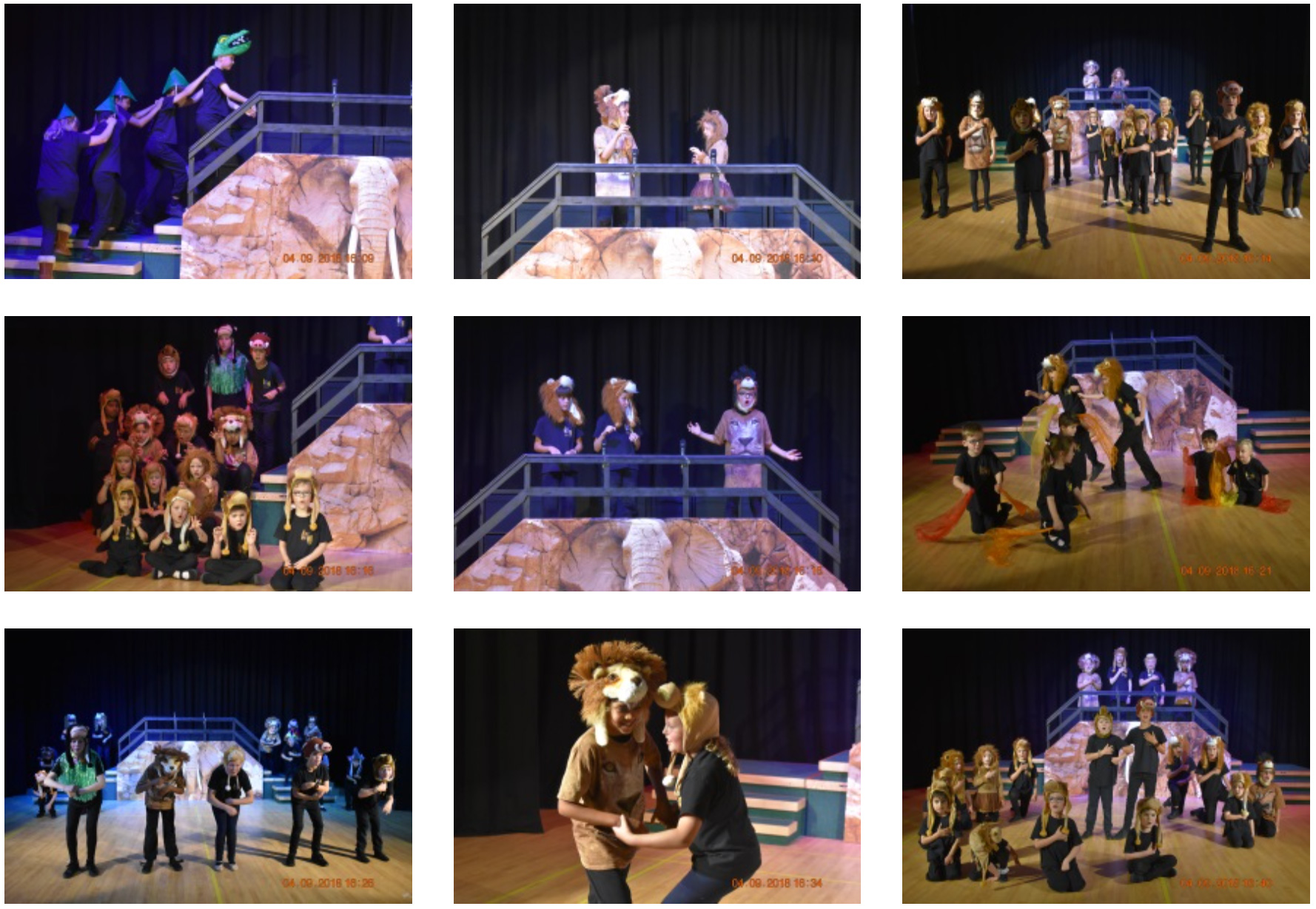 Fairholme Preparatory School: Return to the Pridelands Fairholme Preparatory School: Return to the Pridelands