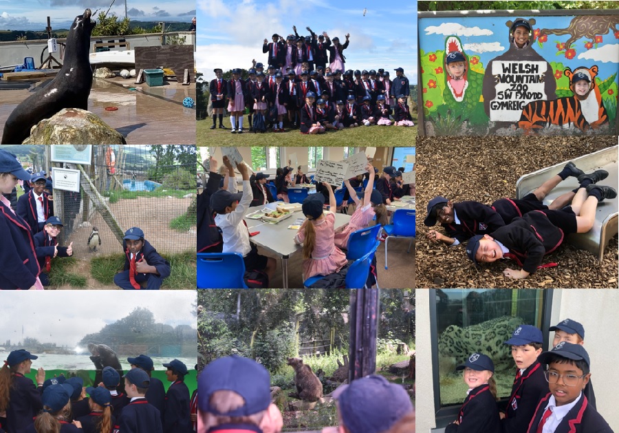 Fairholme Preparatory School: A WILD Day Out!