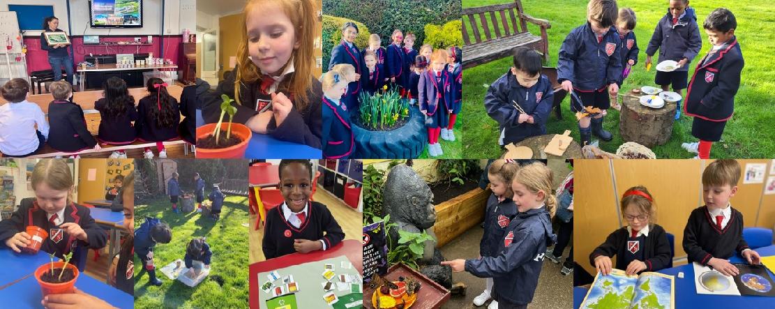 Fairholme Preparatory School: Sustainability